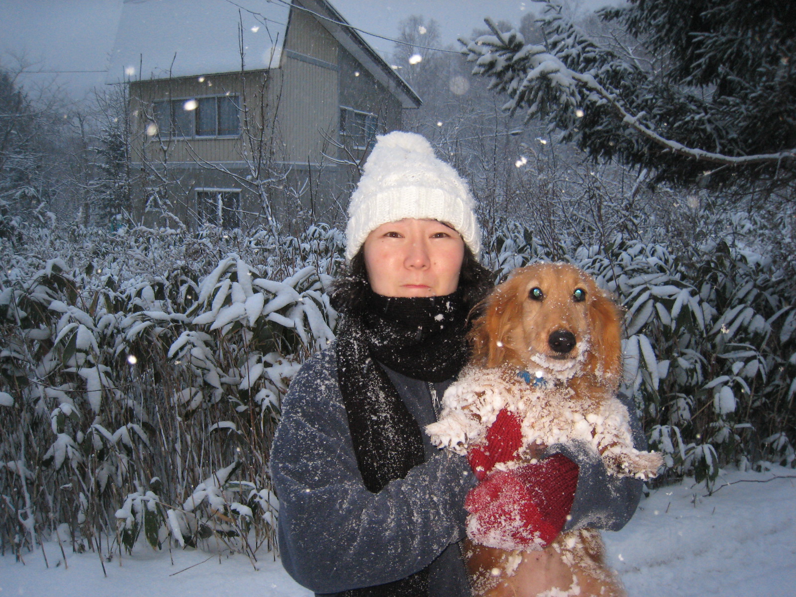 走りまわるミール（Ｍダックス）を捕まえて、奈美子と記念撮影。寒そう・・2010.11.29