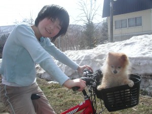 アトムはいちごと一緒に自転車でお散歩中。2008.3.23